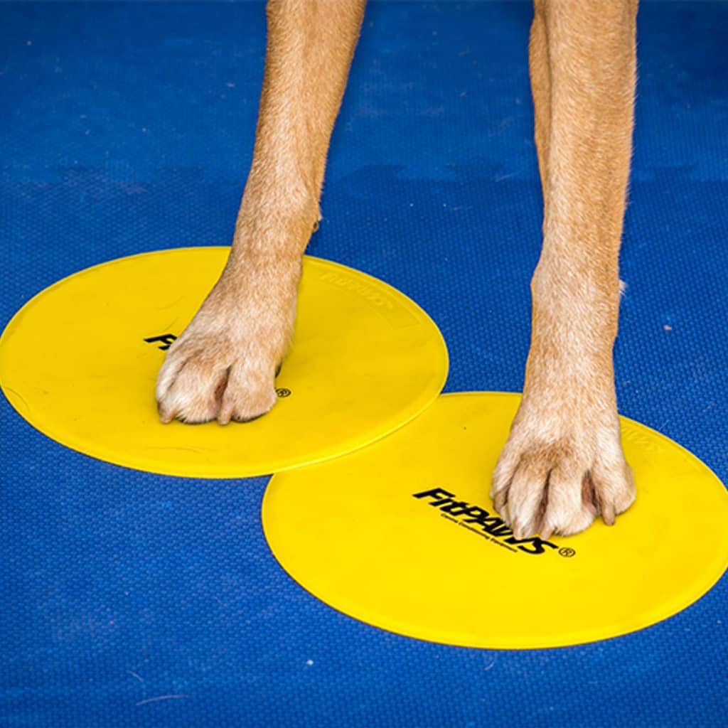 Fitpaws Targets Kosketusalustat 4 Kpl Keltainen Ja Sininen