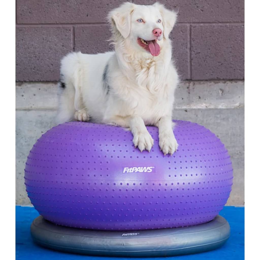 Fitpaws Lemmikin Tasapainopallo Trax Donut 55 Cm Violetti