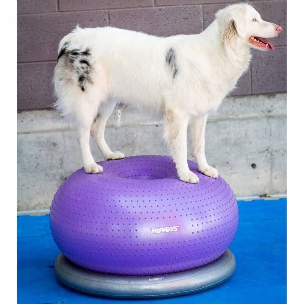 Fitpaws Lemmikin Tasapainopallo Trax Donut 55 Cm Violetti