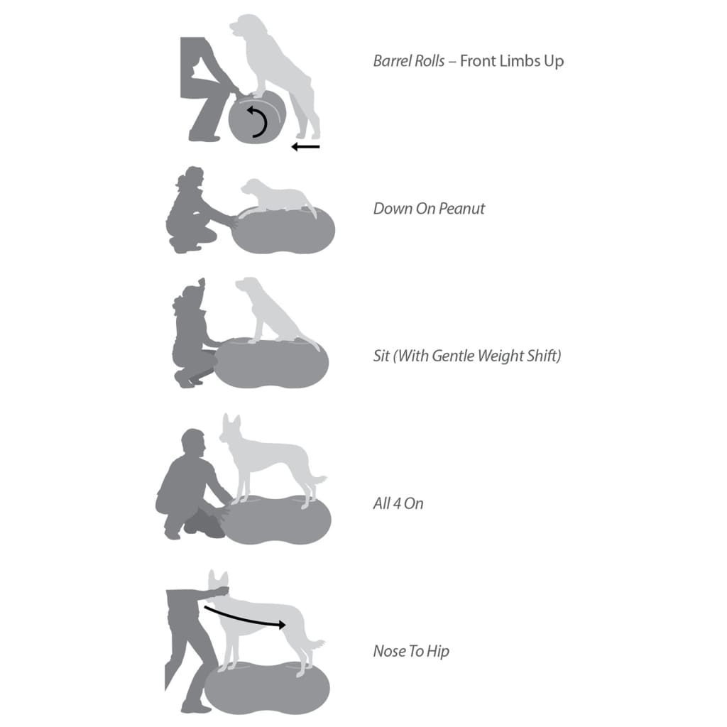 Fitpaws Lemmikin Tasapainoalusta Trax Peanut