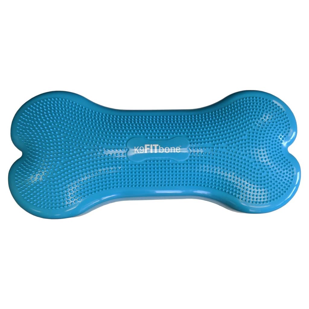 Fitpaws Lemmikin Tasapainoalusta Giant K9Fitbone Pvc
