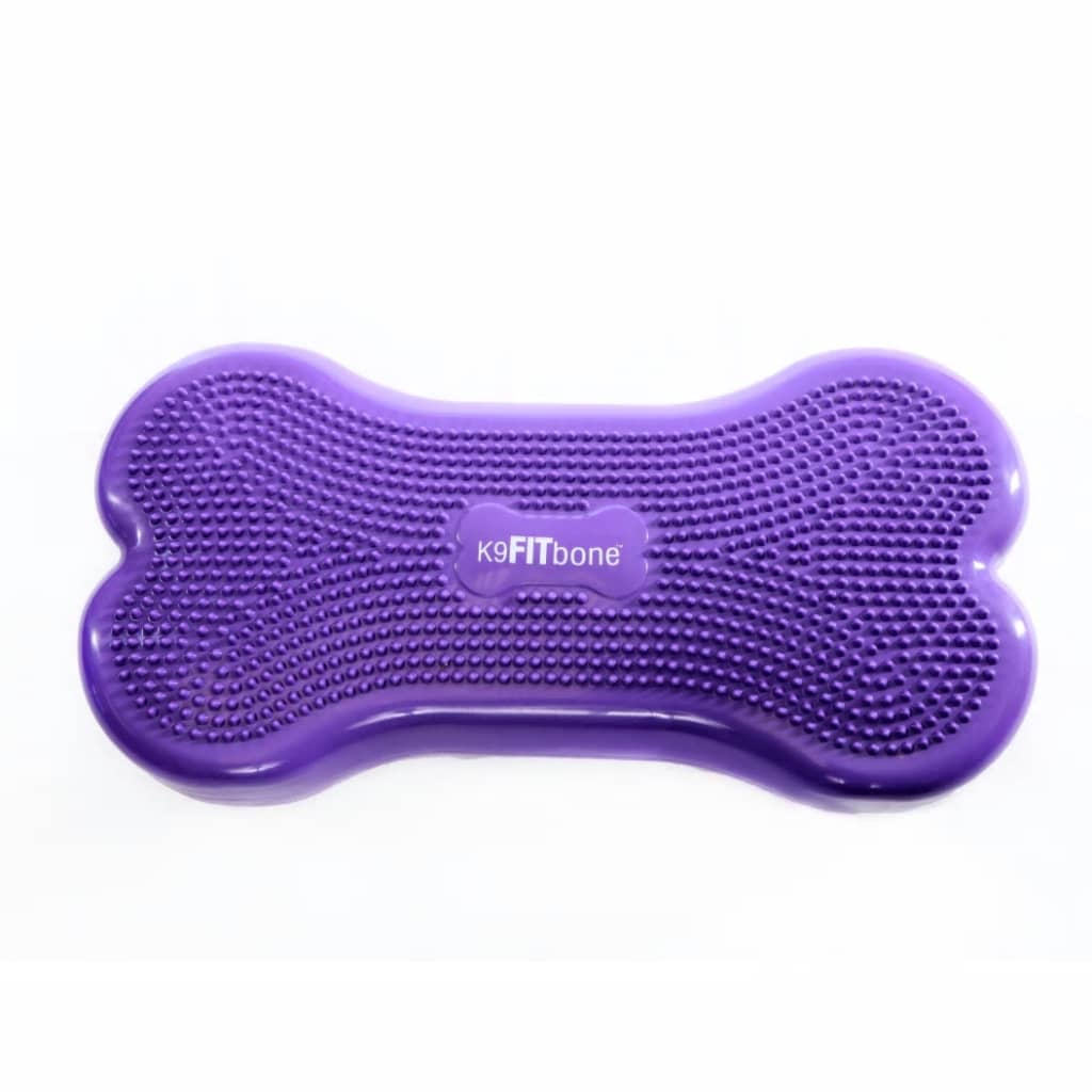 Fitpaws Lemmikin Tasapainoalusta Giant K9Fitbone Pvc
