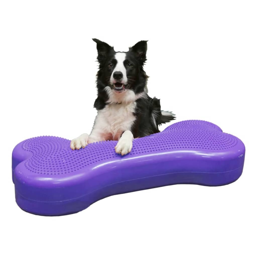 Fitpaws Lemmikin Tasapainoalusta Giant K9Fitbone Pvc