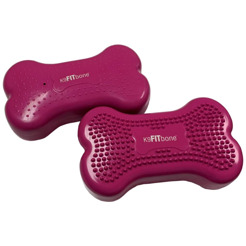 Fitpaws Lemmikin Tasapainoalusta Mini K9Fitbone 2 Kpl 29X16,5X6 Cm