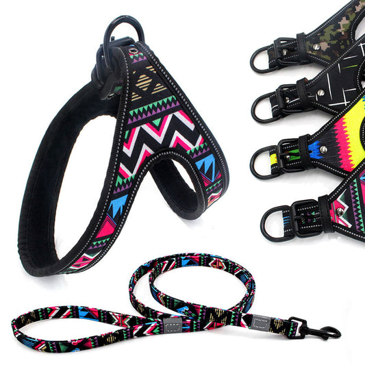 Colorful Pet Leash & Harness