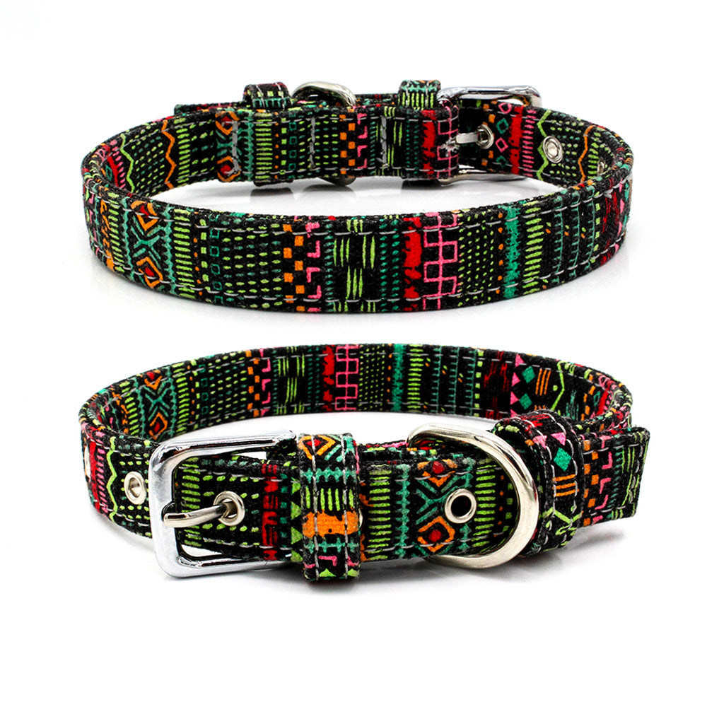 Colourful pet collar