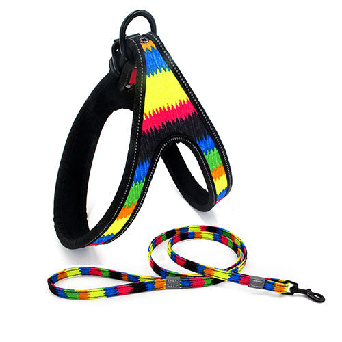 Colorful Pet Leash & Harness