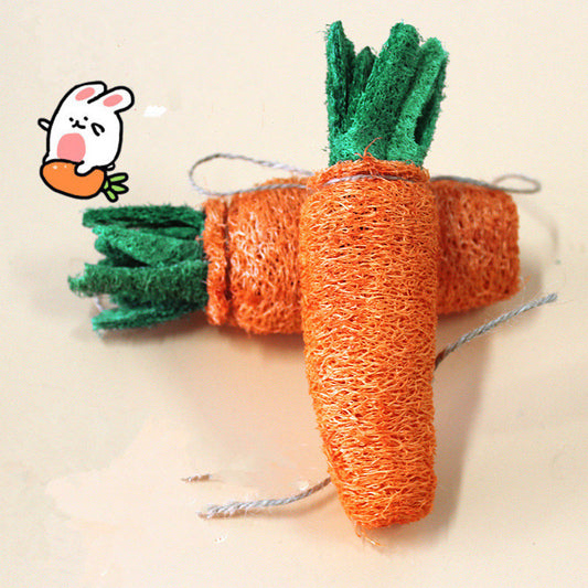 Natural health molar toy