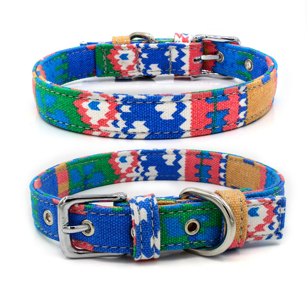 Colourful pet collar