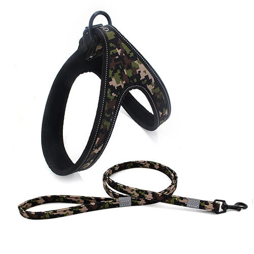 Colorful Pet Leash & Harness