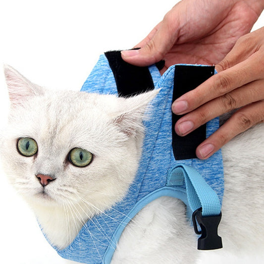 Kitten Harness and Leash