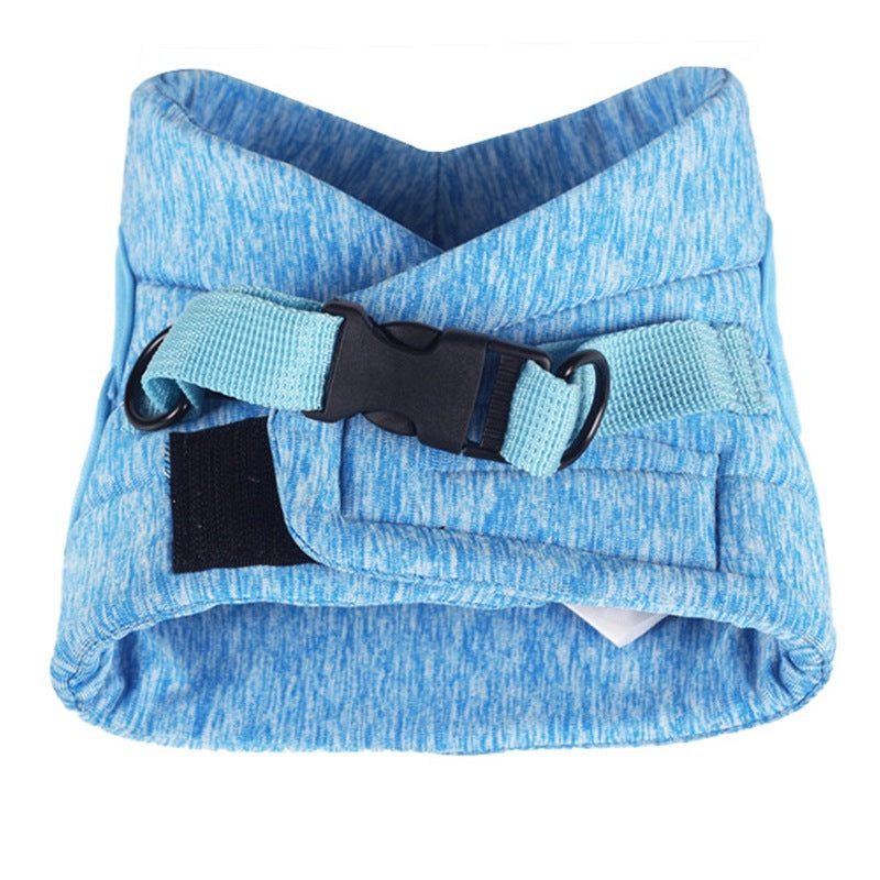 Kattungesele och koppel