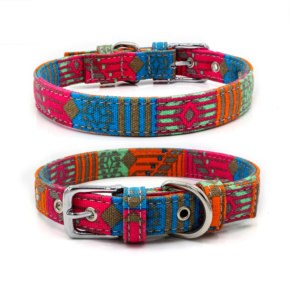 Colourful pet collar