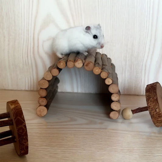 HamsterTunnel