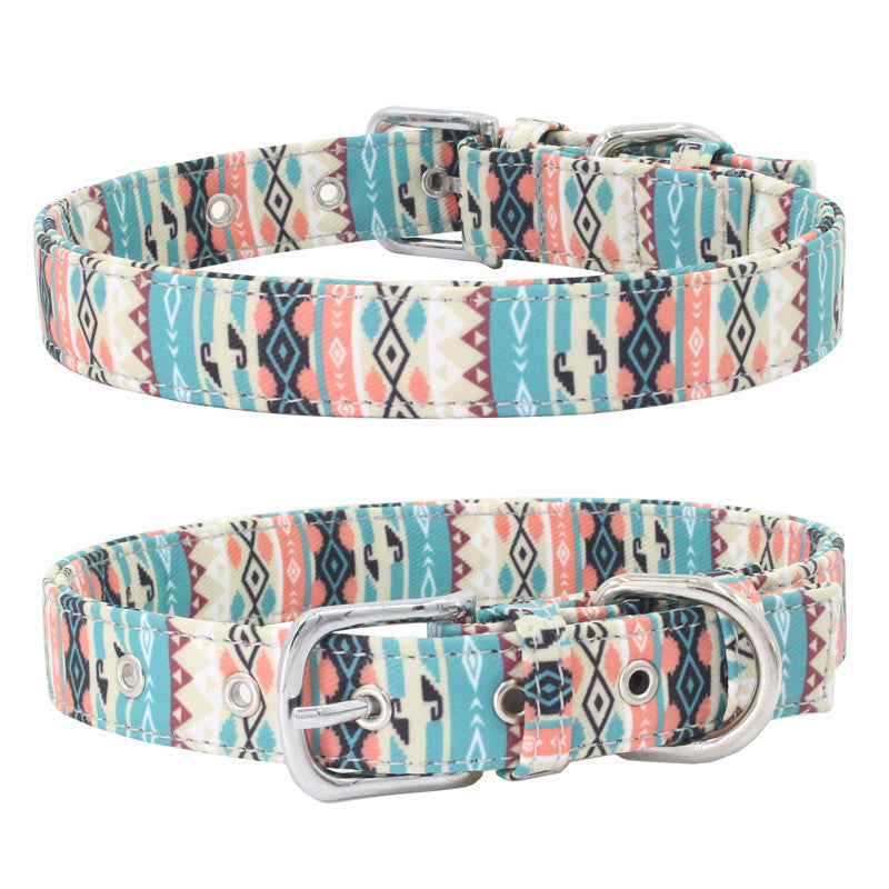 Colourful pet collar