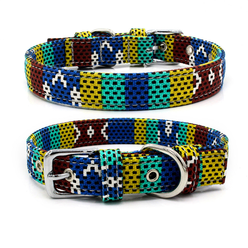 Colourful pet collar