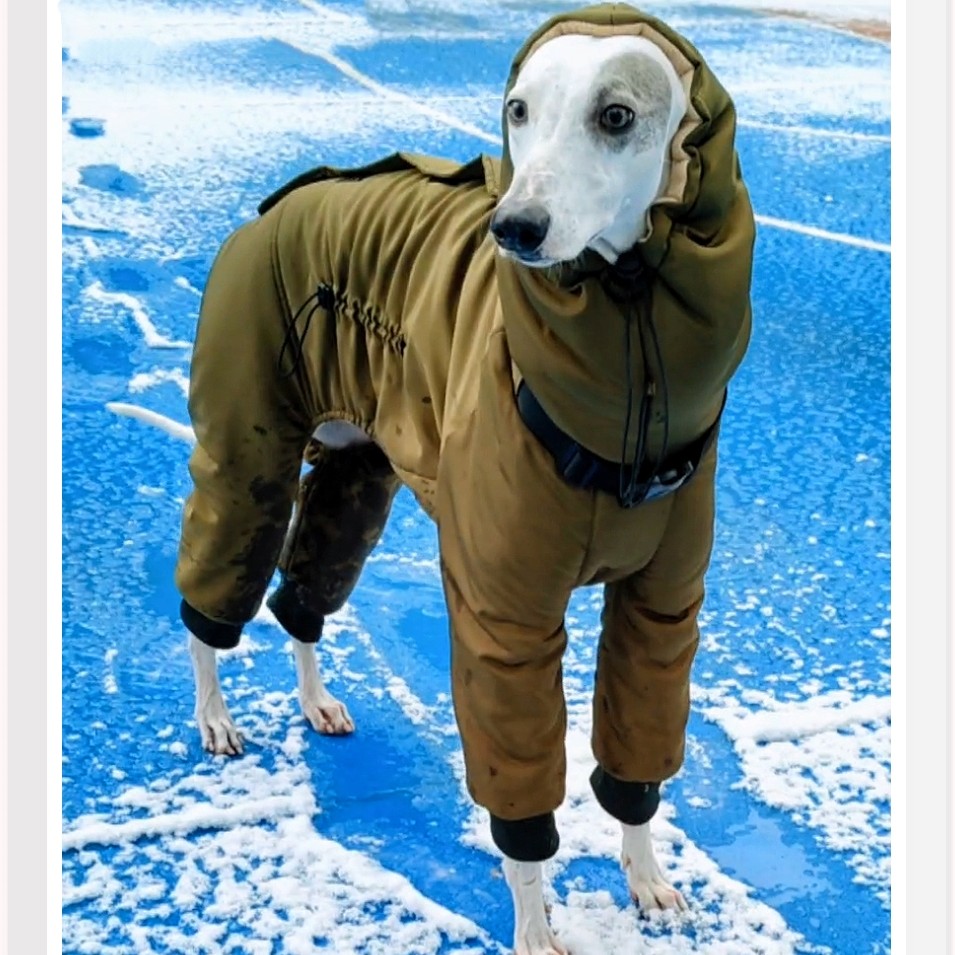 Winter Super Thick Dog Clothing