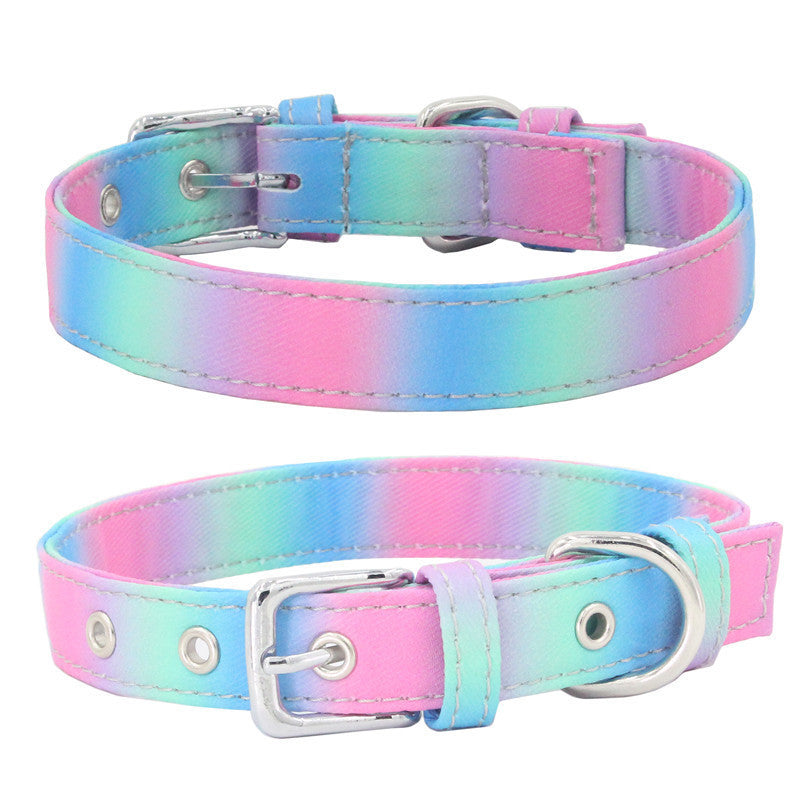 Colourful pet collar