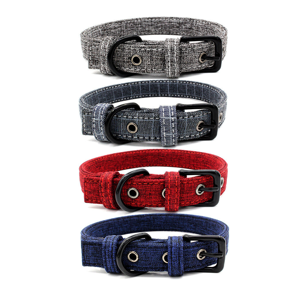 Colourful pet collar