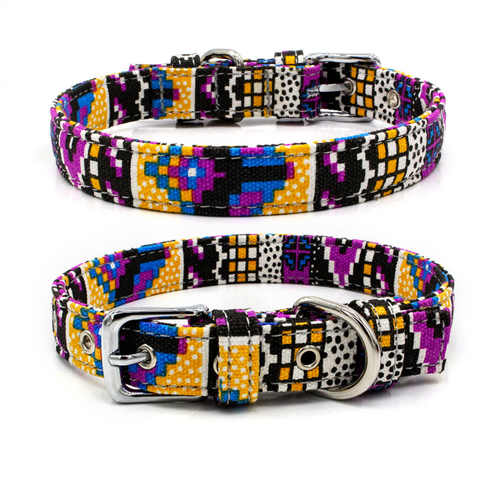 Colourful pet collar