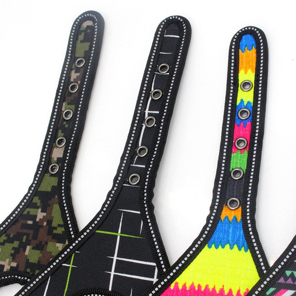 Colorful Pet Leash & Harness