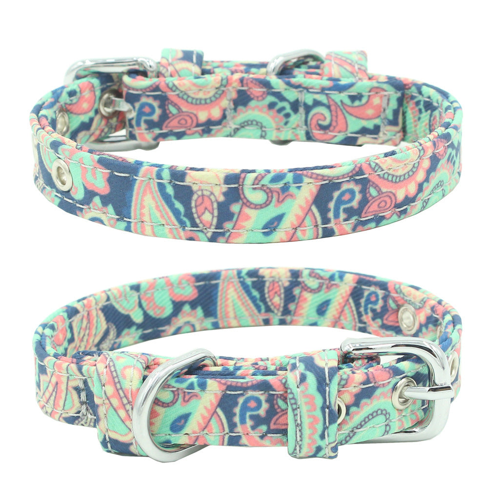 Colourful pet collar