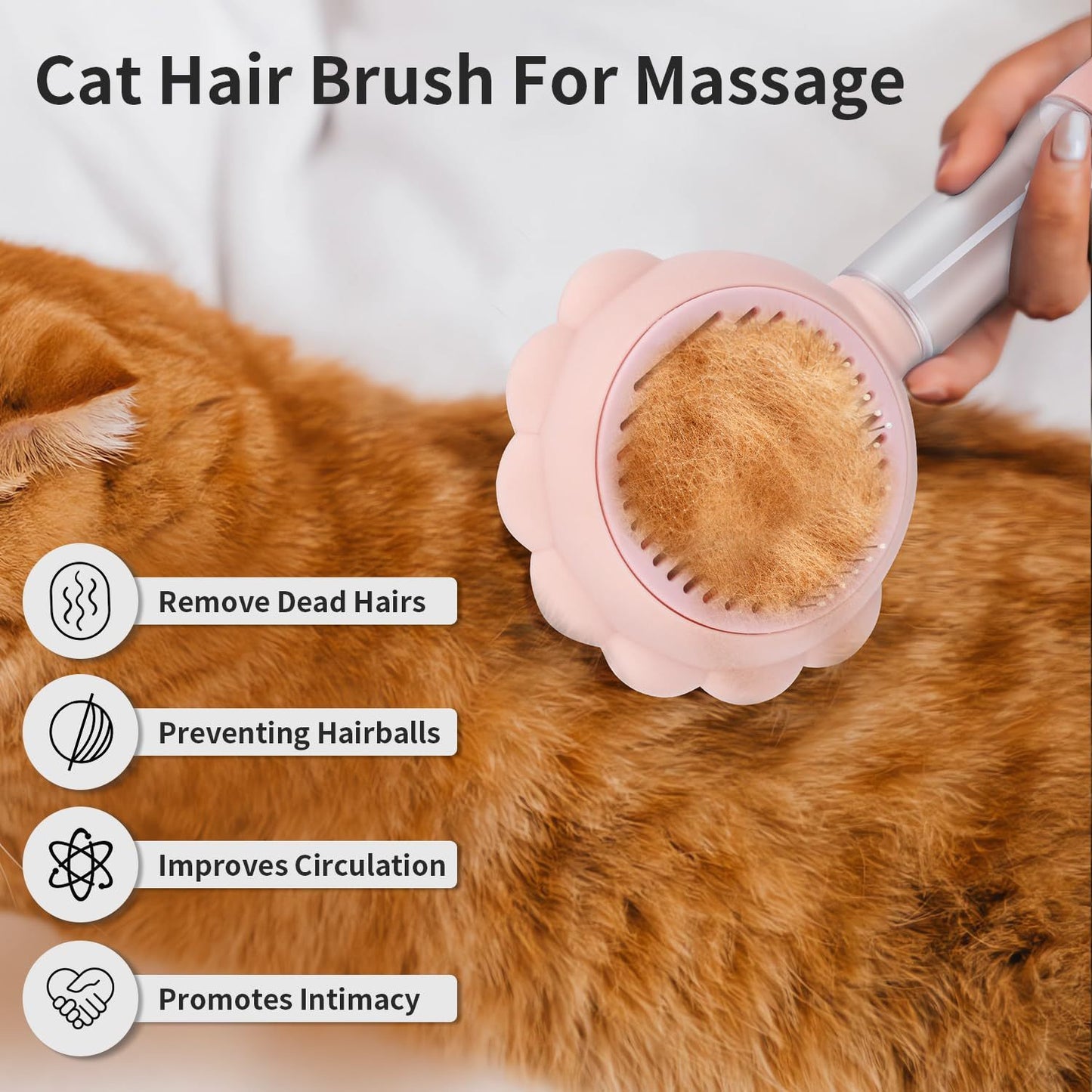 Spray Cat Brush