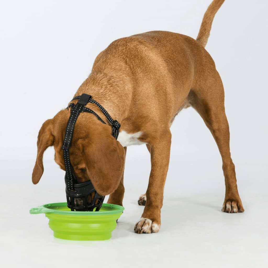 Trixie Koiran Kuonokoppa Flex Koko 17612