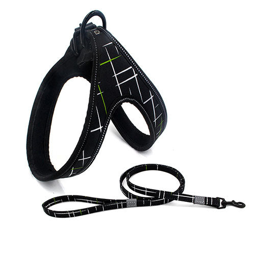 Colorful Pet Leash & Harness