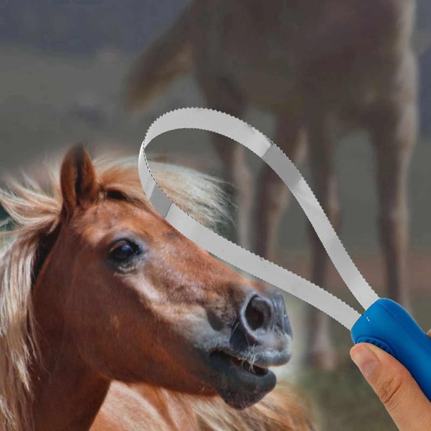 Horse Grooming Comb