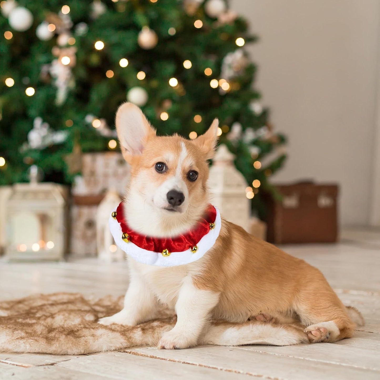 Christmas Pet Collar With Bells