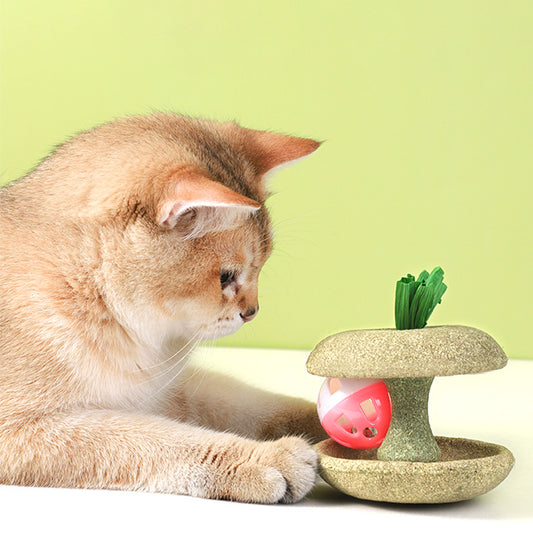 Pet Cat Catnip Toys With Bell