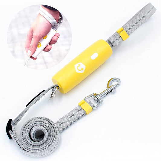 Koiran Hihnat Ja Valjaat