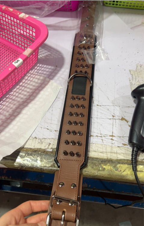 Studded Leather Collar