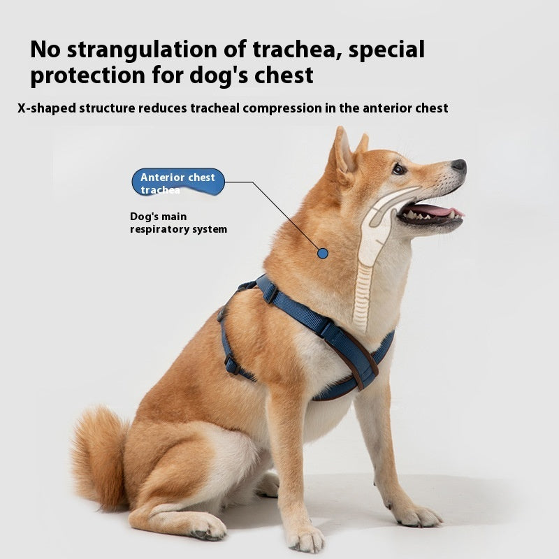 Dogs X Chest-back Harness