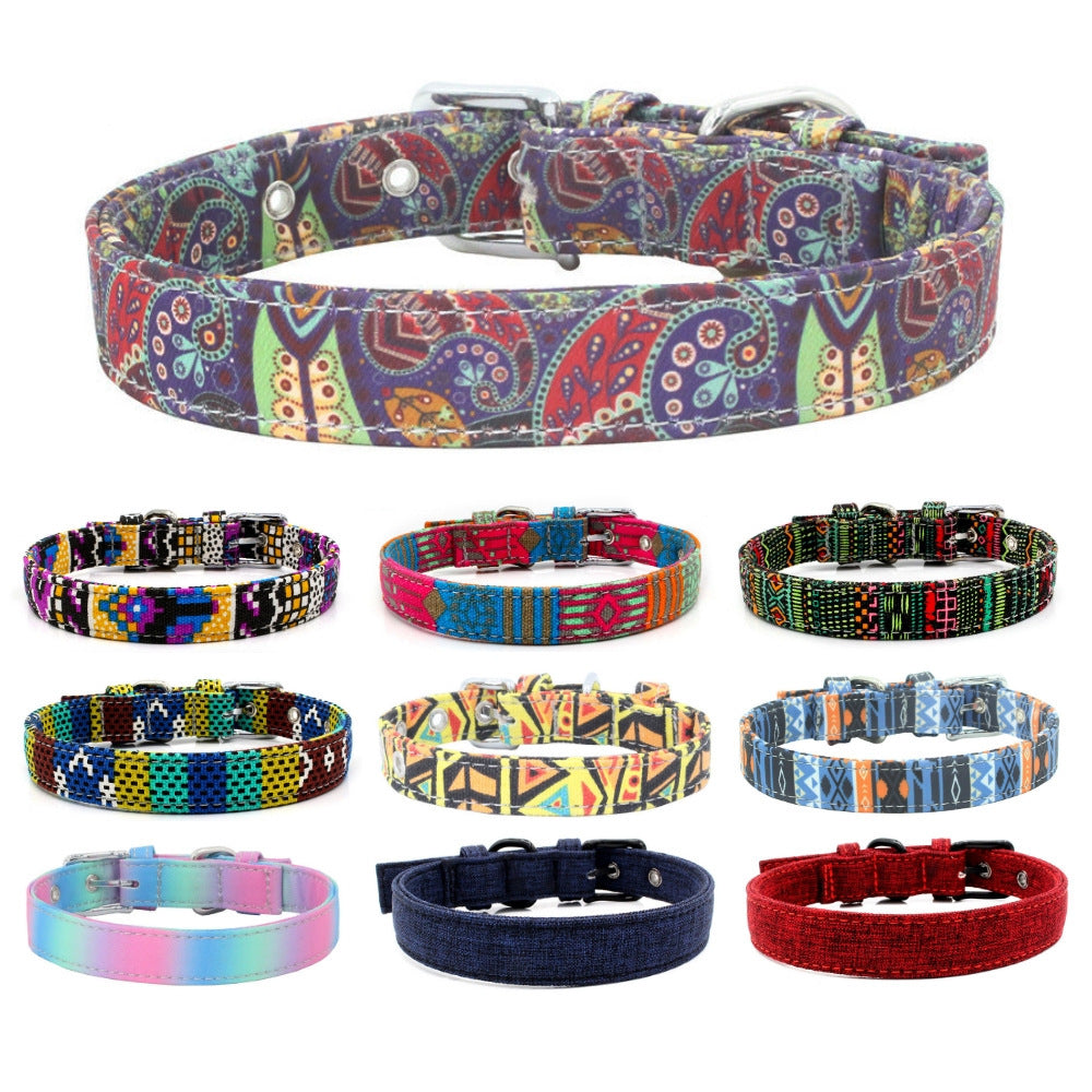 Colourful pet collar