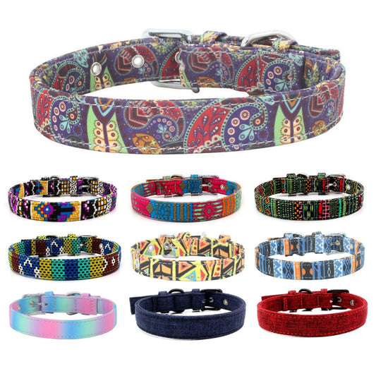 Colourful pet collar