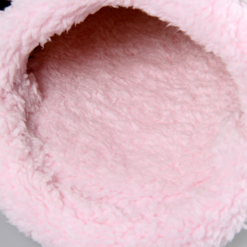 Guinea Pigs Cold Shelter