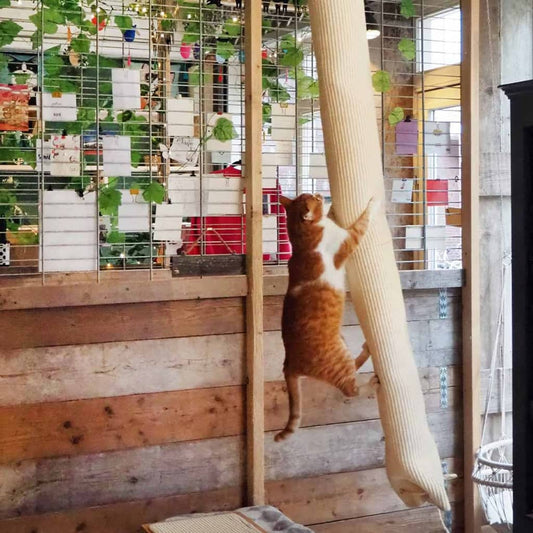 Quapas! Kissojen Kiipeilypussi Sisal 180 Cm