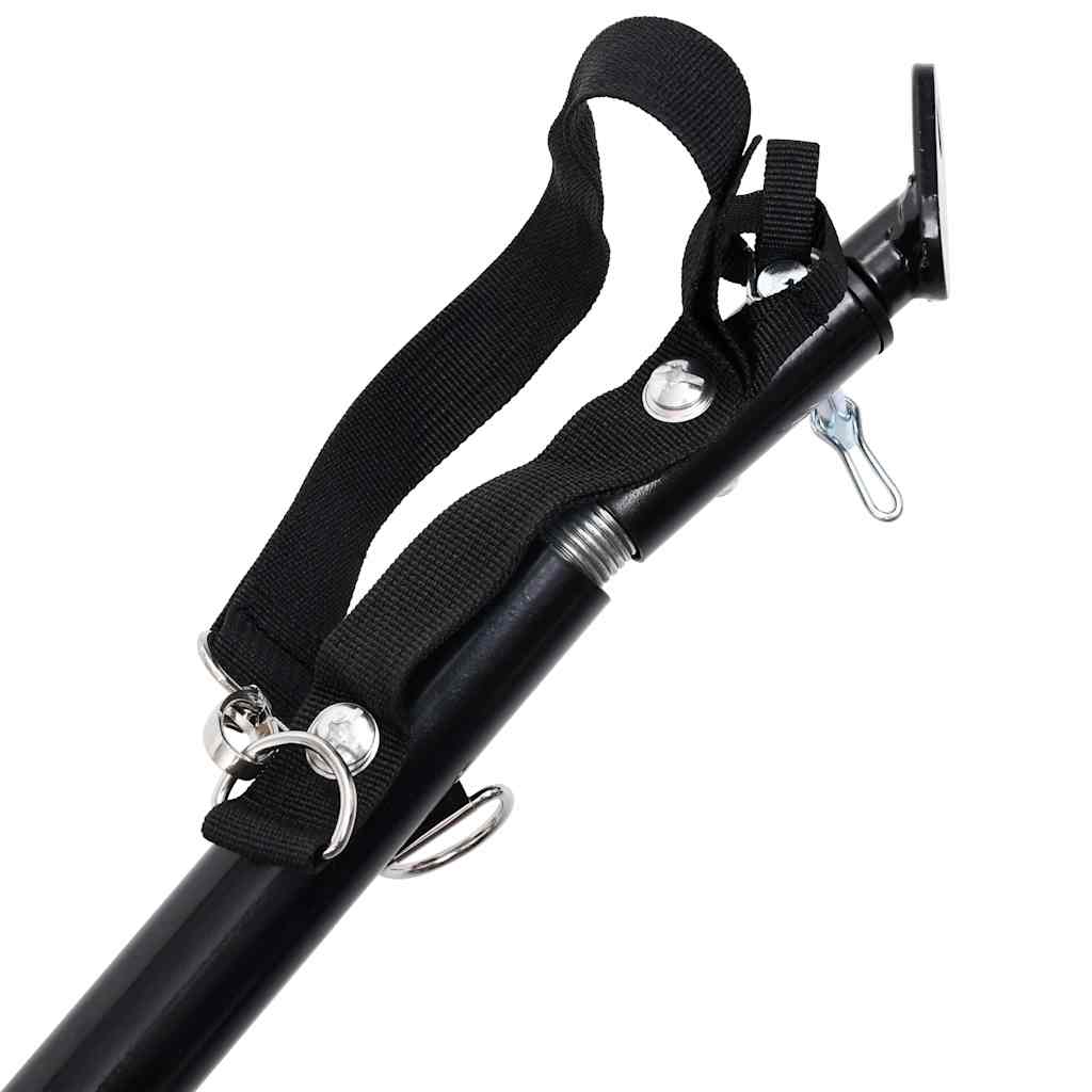 2-In-1 Lemmikkikärry Pyörään/Juoksurattaat