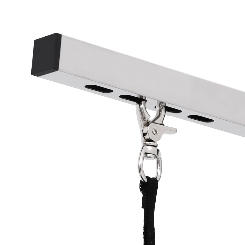 Säädettävä Koirien Trimmauspöytä Silmukalla Ja