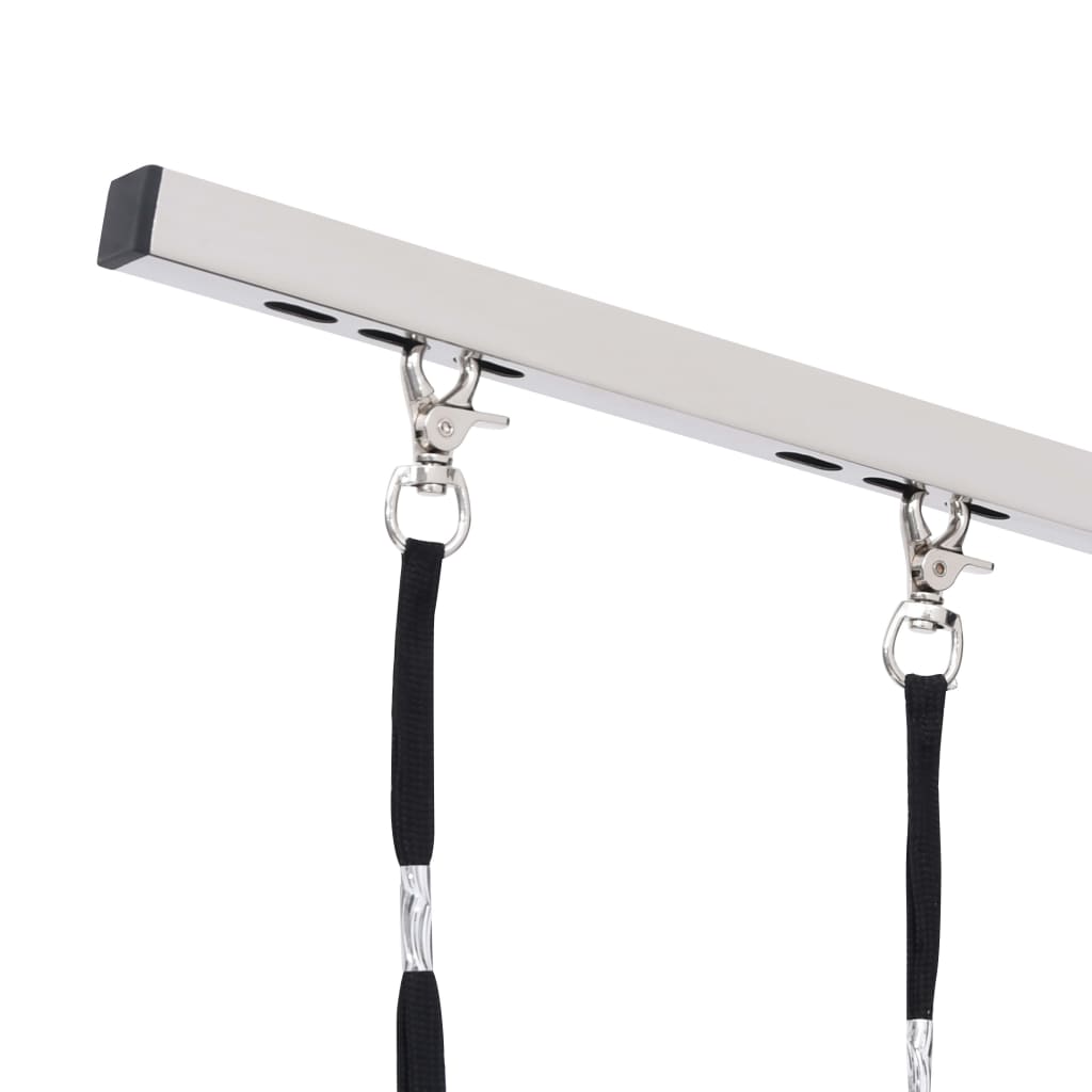 Säädettävä Koirien Trimmauspöytä 2 Silmukalla Ja Korilla