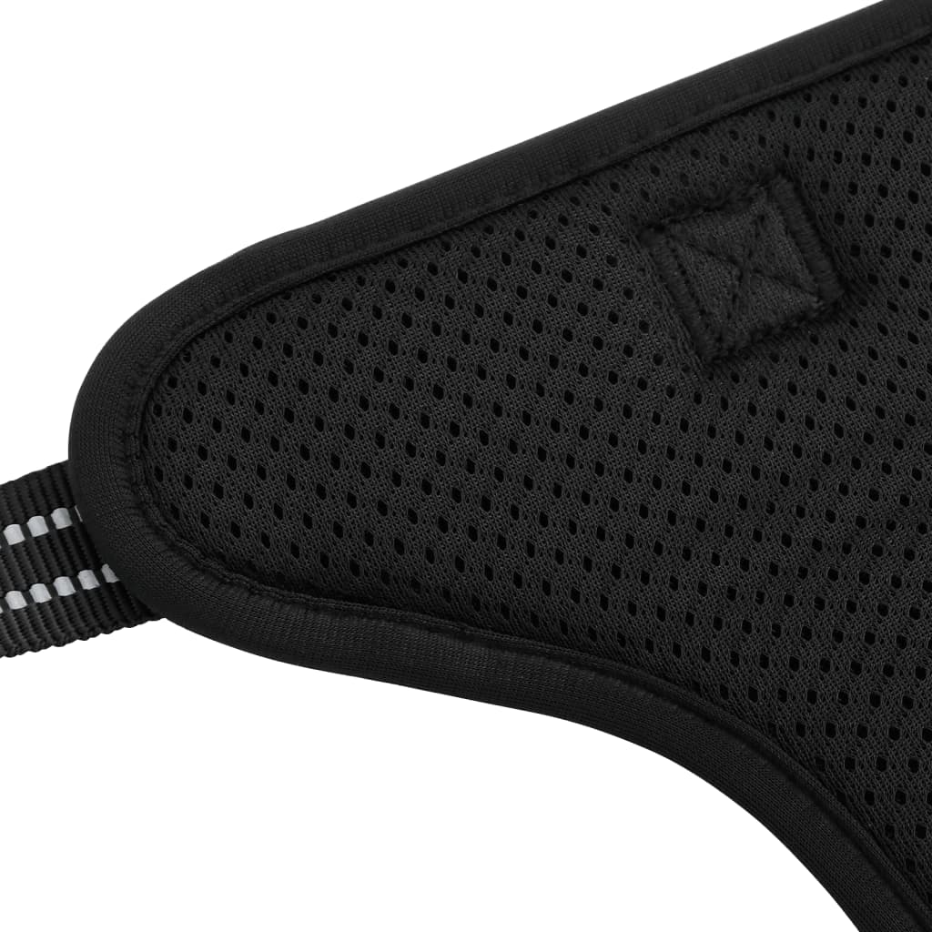 Koiran Valjaat Heijastavat Raidat Säädettävä