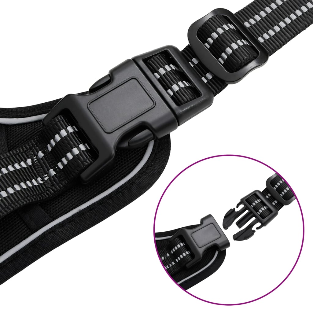 Koiran Valjaat Heijastavat Raidat Säädettävä