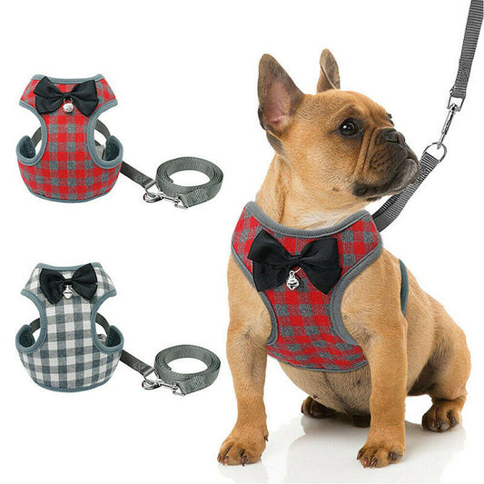 Pet Fashion Vest and Leash