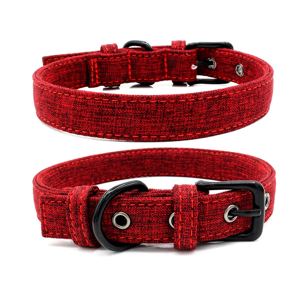 Colourful pet collar
