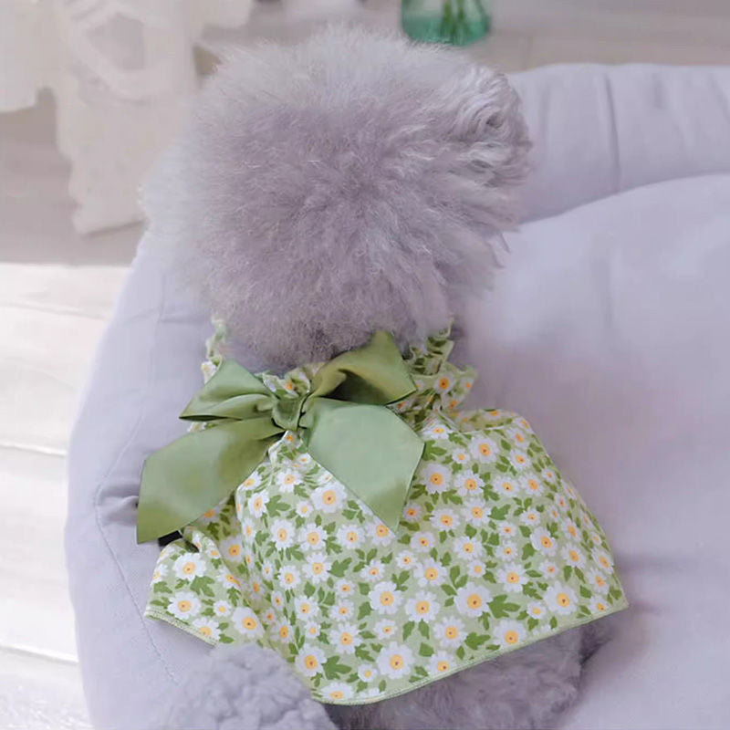 Prinsessa Kesämekko