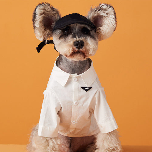 Thin Puppy Cute Shirt