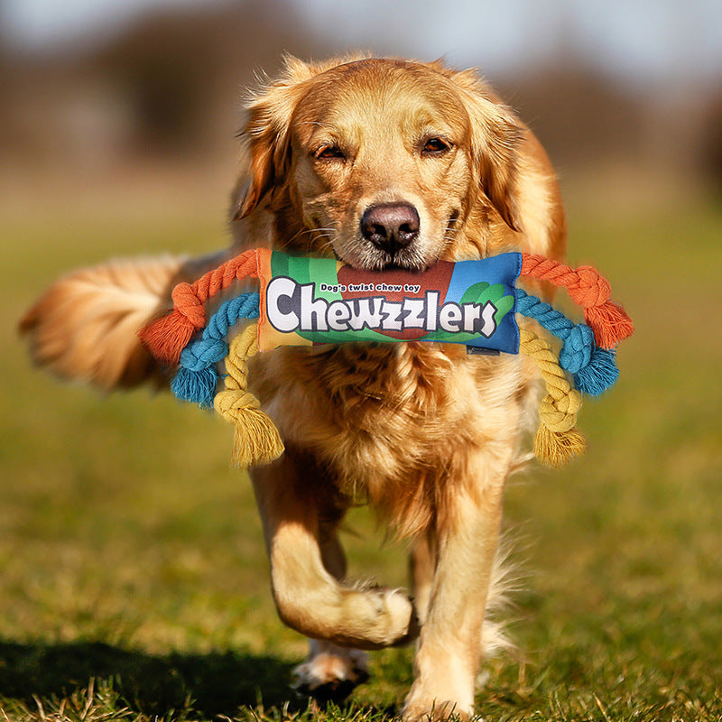 Long Lasting Molar Chew Toy