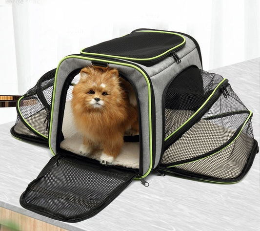 Laajennettava Kissalaukku/Retkikassi